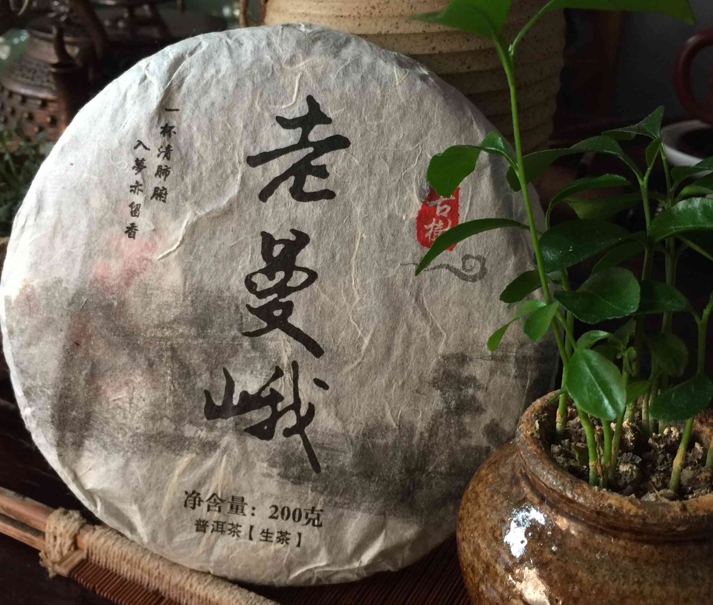 19年老曼峨普洱茶生茶200g