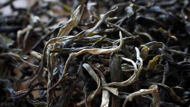 如何分辨普洱茶春茶和秋茶的区别呢？