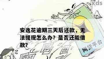 安逸花逾期还款一天后，再次借款是否可行？