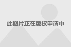 翡翠双鱼玉佩：特点、寓意、选购与保养全方位解析