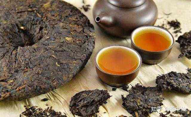 早期普洱茶中的金典品种有哪些：全面解析普洱茶的经典种类