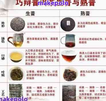 早期普洱茶中的金典品种有哪些：全面解析普洱茶的经典种类