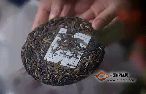 探究普洱茶细叶与粗叶的口感差异与选择之道