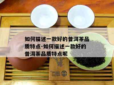 普洱茶要细品还是细品