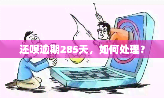 还呗逾期了285天