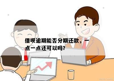 逾期后还款借呗，是否可以只还一部分款项？如何操作？