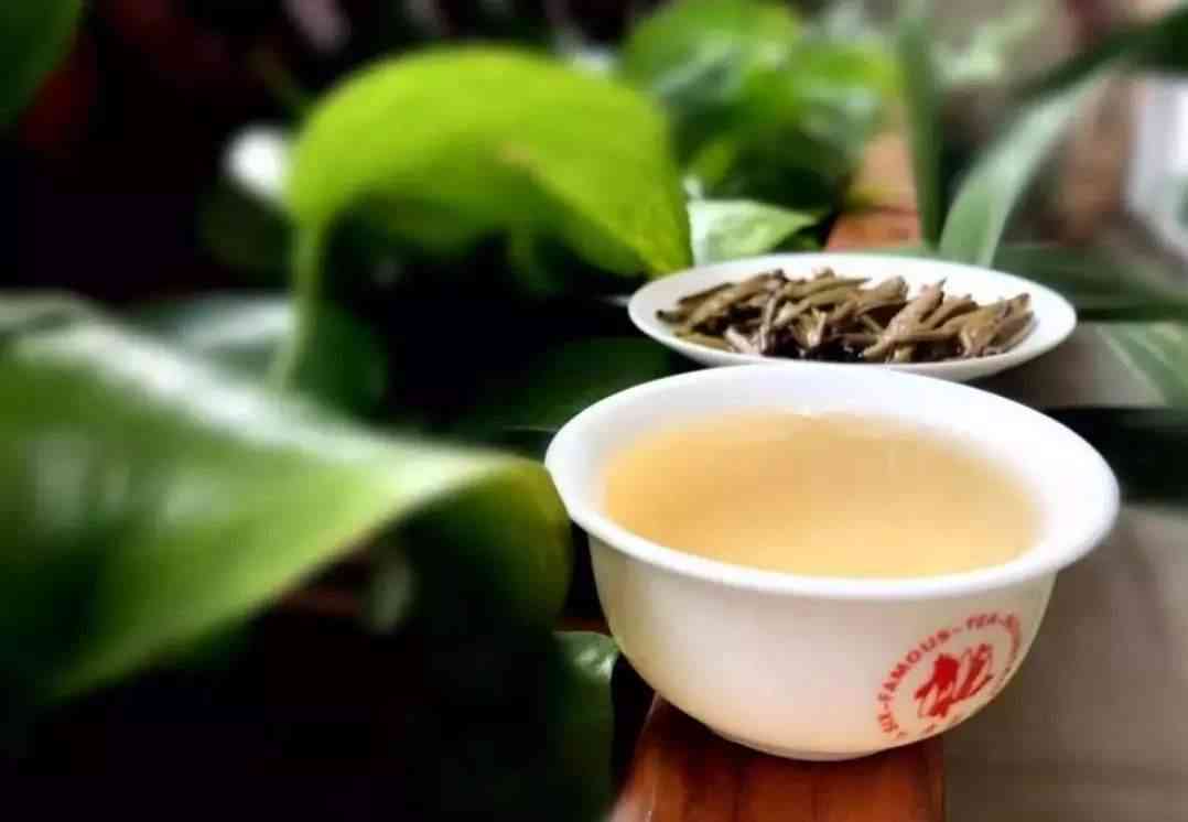 云南近年来新创的普洱茶一览：全面了解您可能感兴趣的名称