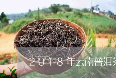 2018年云南十大普洱茶：品质与口碑双丰收，一次品尝全方位了解