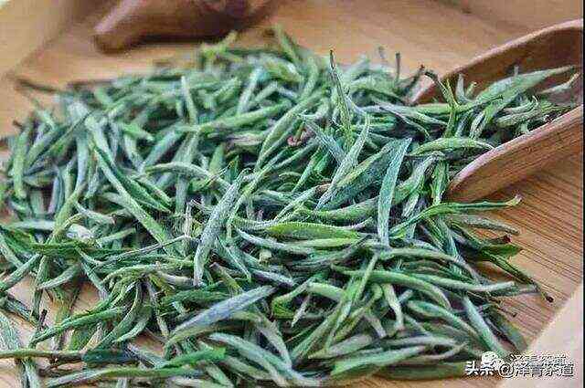 黄山毛峰与云南普洱茶：两大名山茶品的异同详解