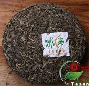 冰岛茶的品种与特点：属于何种茶类？