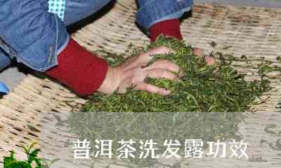 普洱茶润发：中草药润发与普洱茶润发效果比较