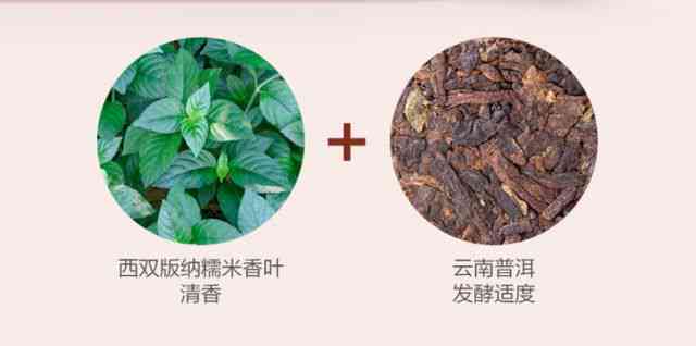 糯米香普洱茶的益处、副作用及饮用注意事项：一文解析全方位真相