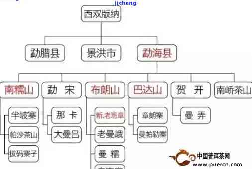 龙腾普洱茶：品种、产地、制作工艺、功效与品鉴全方位解析