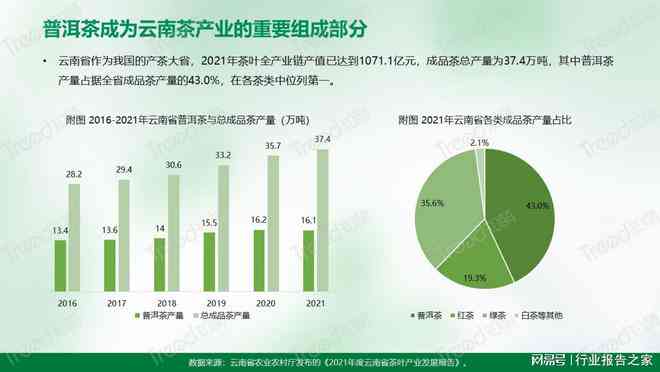 全面了解大普洱茶价格行情，包括市场走势、品质分析及购买建议 - 新标题