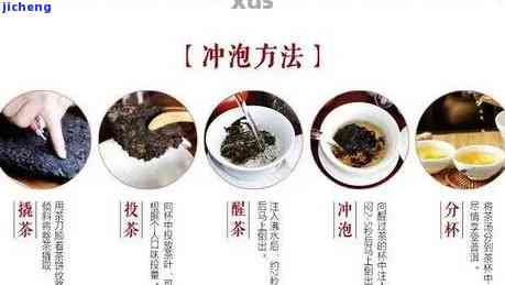 普洱茶的冲泡步骤讲解词：普洱茶冲泡的方法和流程