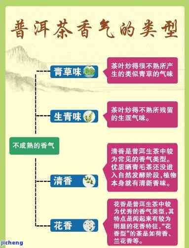 一粒一粒的普洱茶香气扑鼻，这是什么类型的普洱茶？如何鉴别与品鉴？