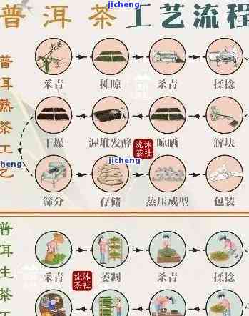 全面探索和谐普洱茶：品种、制作工艺、品饮技巧以及健益处