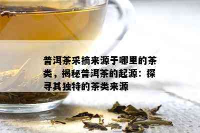 普洱茶的起源、传播与种类：探索世界茶文化中的独特茶类