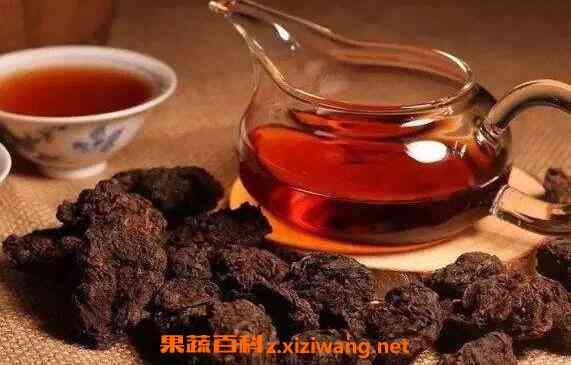 油果子普洱茶泡法与食用窍门：如何泡出好喝的油果子普洱茶？