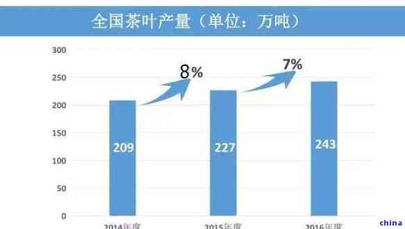 现在上海人做普洱茶的数量和情况如何？