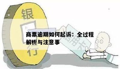 碧园商票逾期金额的全面解析：原因、影响与解决方案