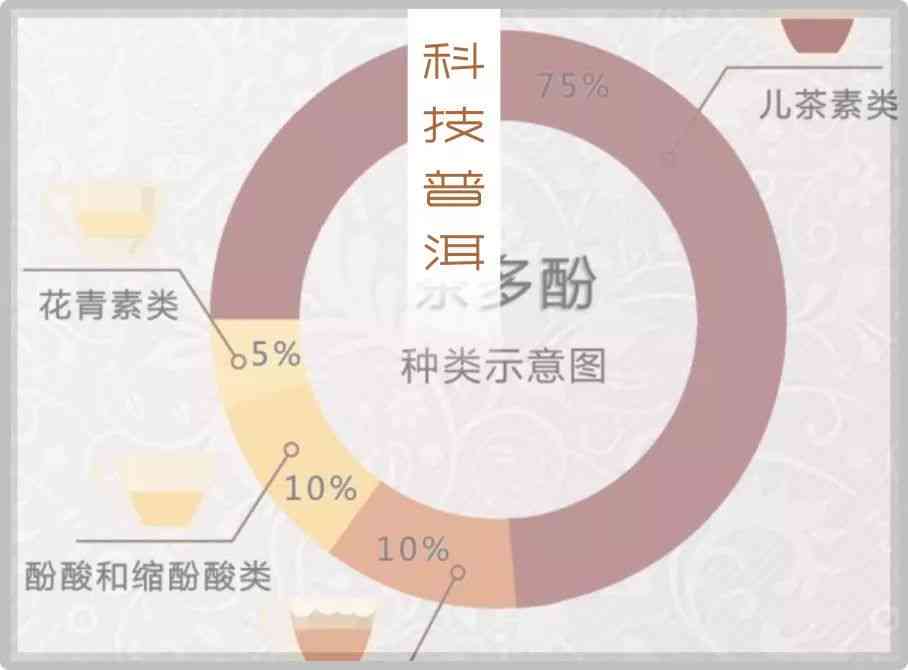 普洱茶的微生物成分及其对健的影响：霉菌与普洱茶的关系探讨