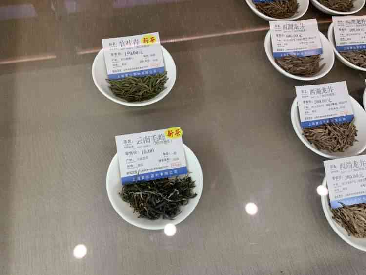 春茶采摘普洱茶的时间