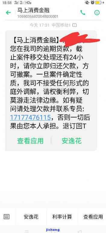 逾期一年多未还款的安逸花债务，会面临哪些法律后果？是否会被判刑坐牢？