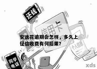 安逸花逾期还款的影响及相关问题解答