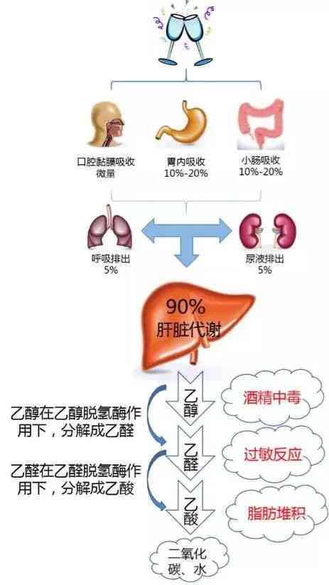 理中丸与酒精的相互作用：能否同时使用？