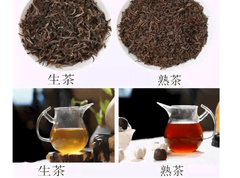 兴普洱茶和熟茶：它们之间的区别与生茶有何不同？