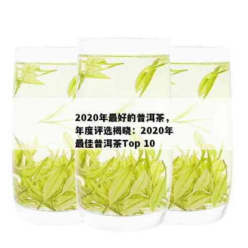 2020年更受欢迎的普洱茶排行榜，京东十大热门茶叶推荐