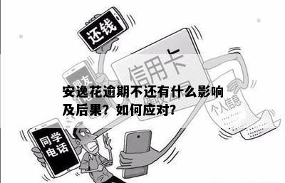 安逸花逾期还款问题解决指南：你需要注意的事项和可能面临的后果