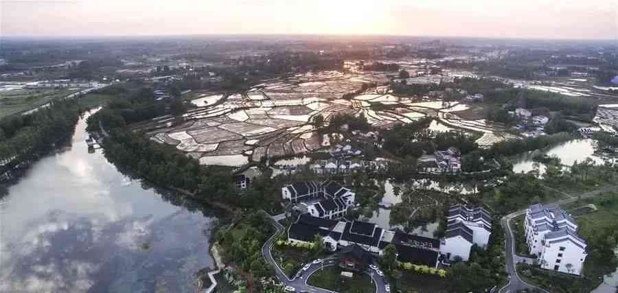 普洱茶下关产区全攻略：探访六大主要产地及特色小镇