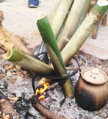 品醇香普洱茶：品饮艺术与生活哲学的完美融合