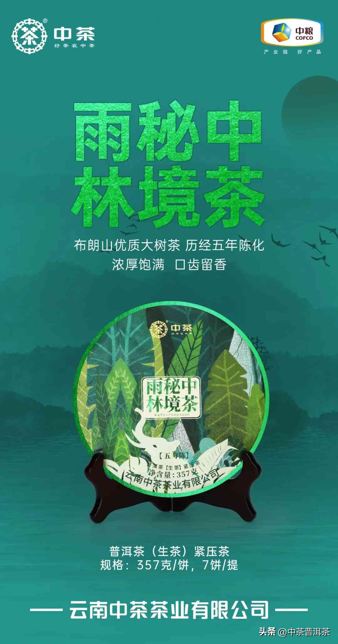 雨林普洱茶的四大：，行情报价及特点概述