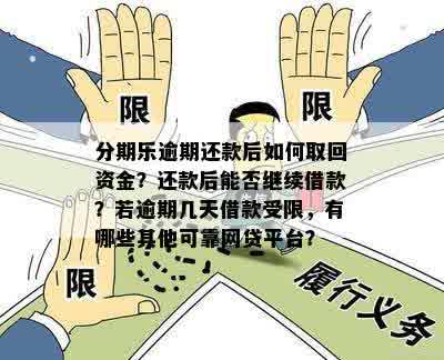 逾期还款后，是否可以再次借款以及全部资讯