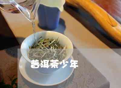 青年普洱茶有哪些