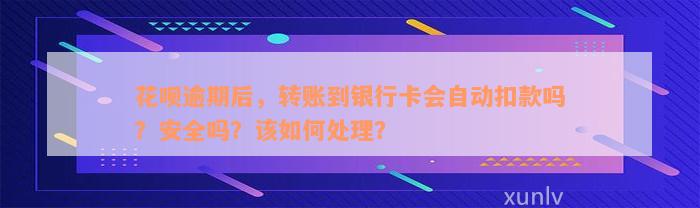 逾期自动扣款怎么要回来：防止银行卡被盗刷及解决方法