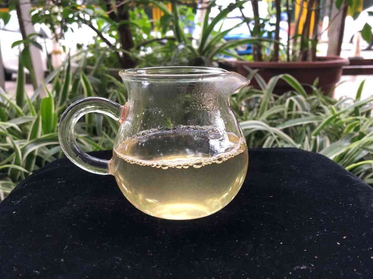 新忙肺古树茶的收藏价值及其品鉴方法，如何挑选和保存？