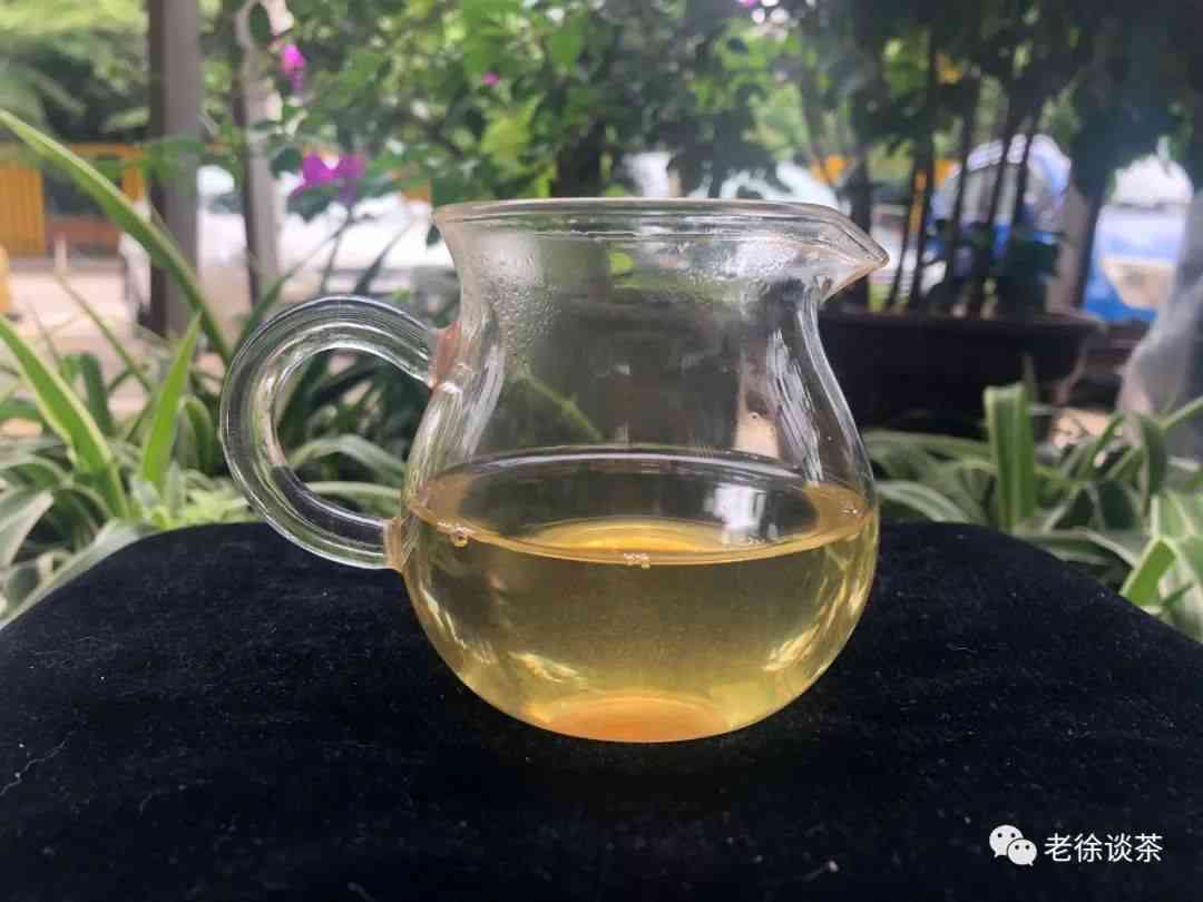 新忙肺古树茶的收藏价值及其品鉴方法，如何挑选和保存？