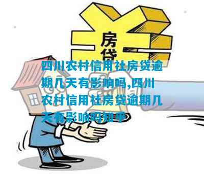 四川农村信用社贷款逾期6天后的申请条件及相关政策