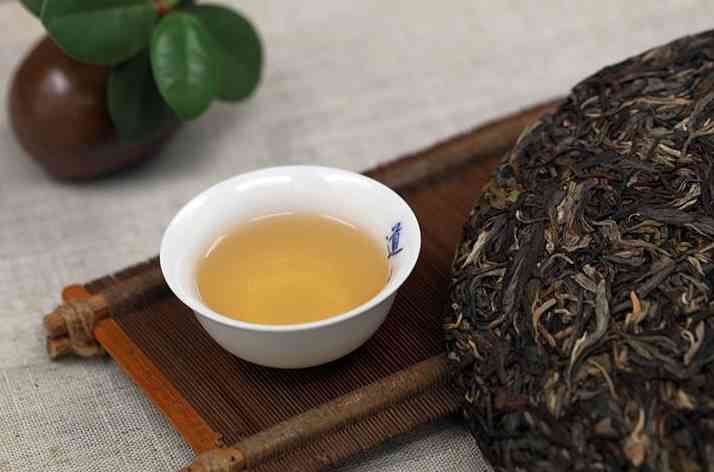 普号普洱茶品质、档次、价格及排名，真古树茶揭秘