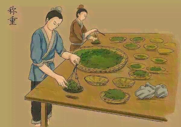 压画普洱茶家庭简易制作