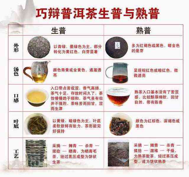 云提普洱茶：品种、产地、工艺、口感、功效与泡法全方位解析