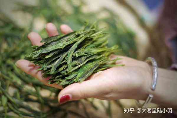 魁力四溢的茶叶品种：探索太平猴魁的独特魅力