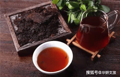 安普洱茶哪买正宗真品？云南安普洱茶业。