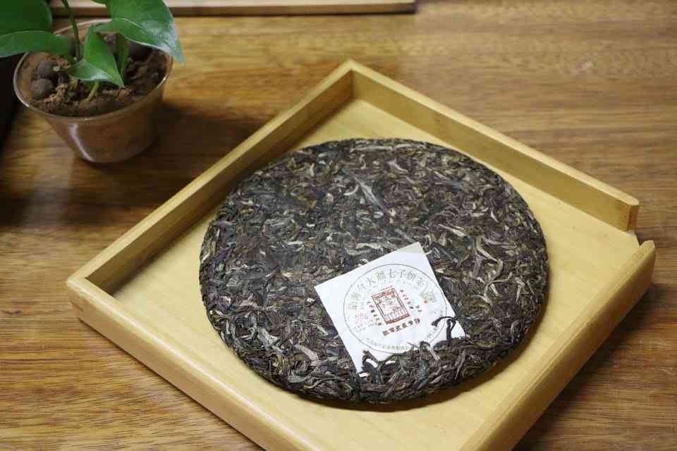 茶余普洱茶