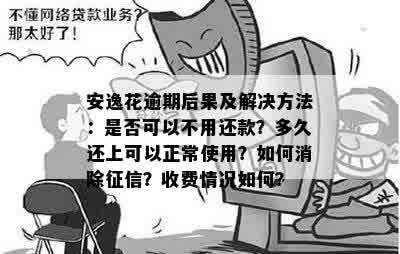 安逸花逾期12天的影响：是否会影响个人信用评分及可能的后果详解