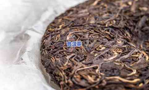 南迫普洱茶全解析：品种、产地、工艺、品质及品饮方法一应俱全